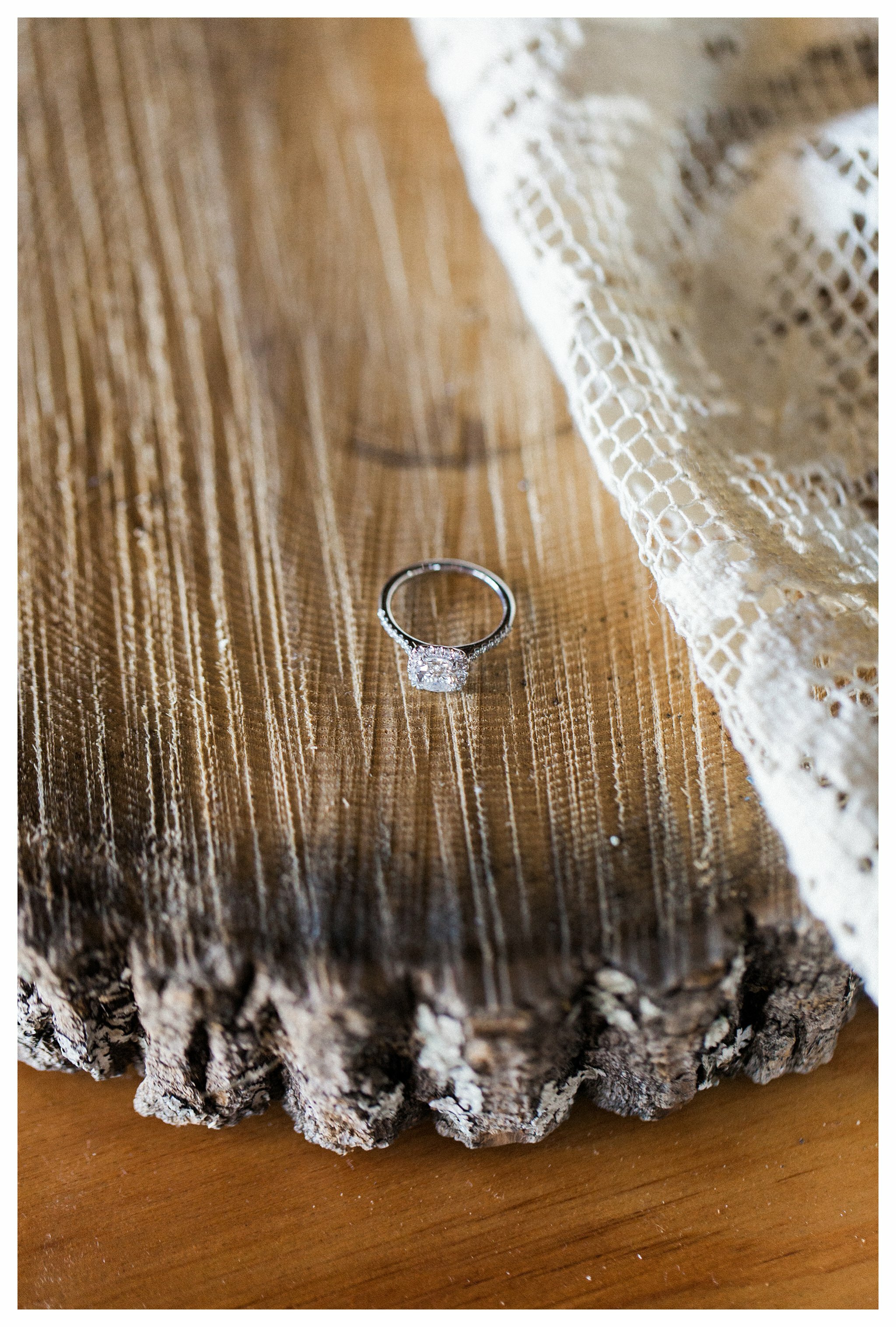 virginia_wedding_photographers_michael_and_carina_photography_2600.jpg
