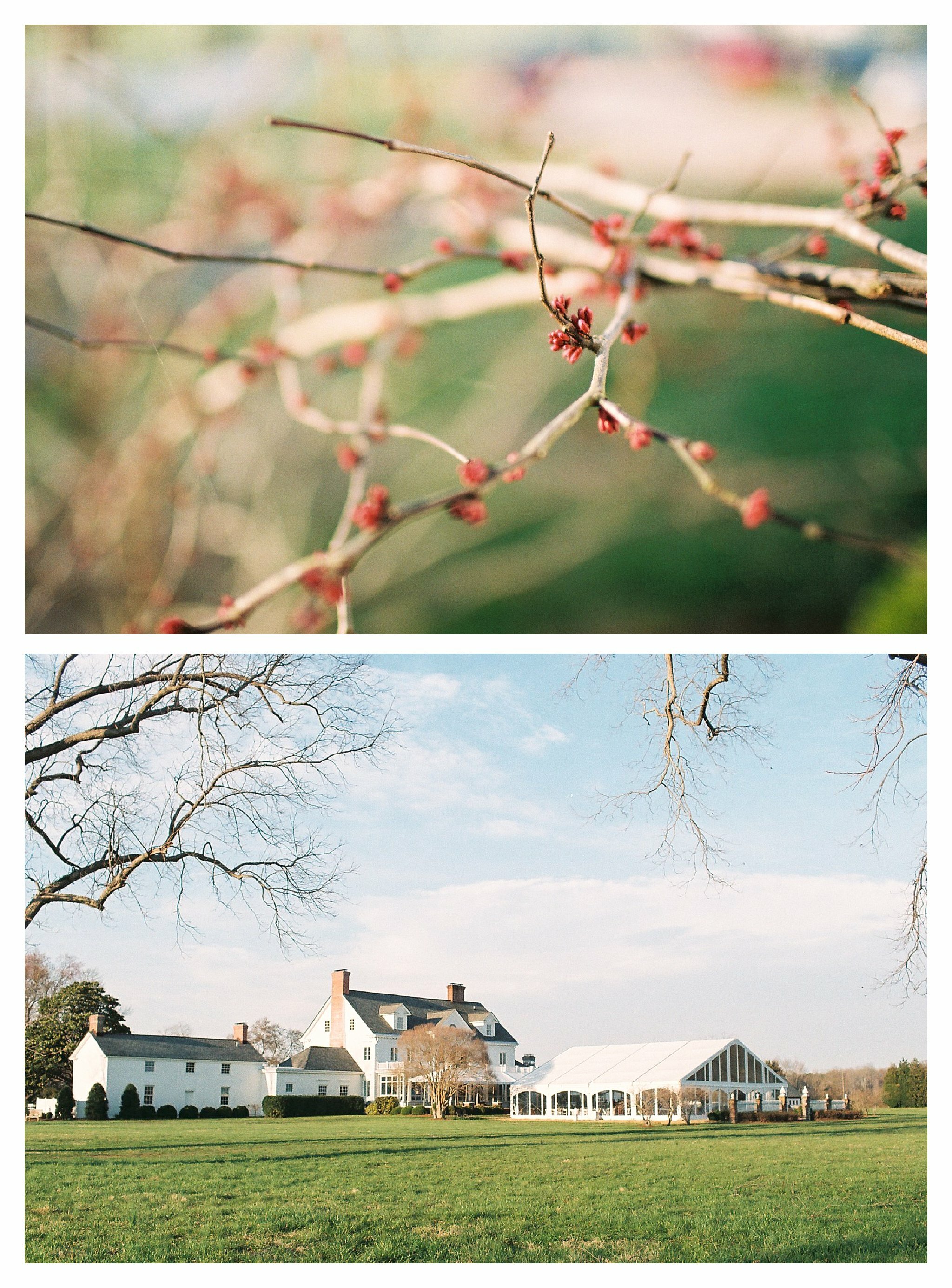 0111 Virginia_Wedding_PHOTOGRAPHERS_Michael_and_Carina_Photography_3885.jpg