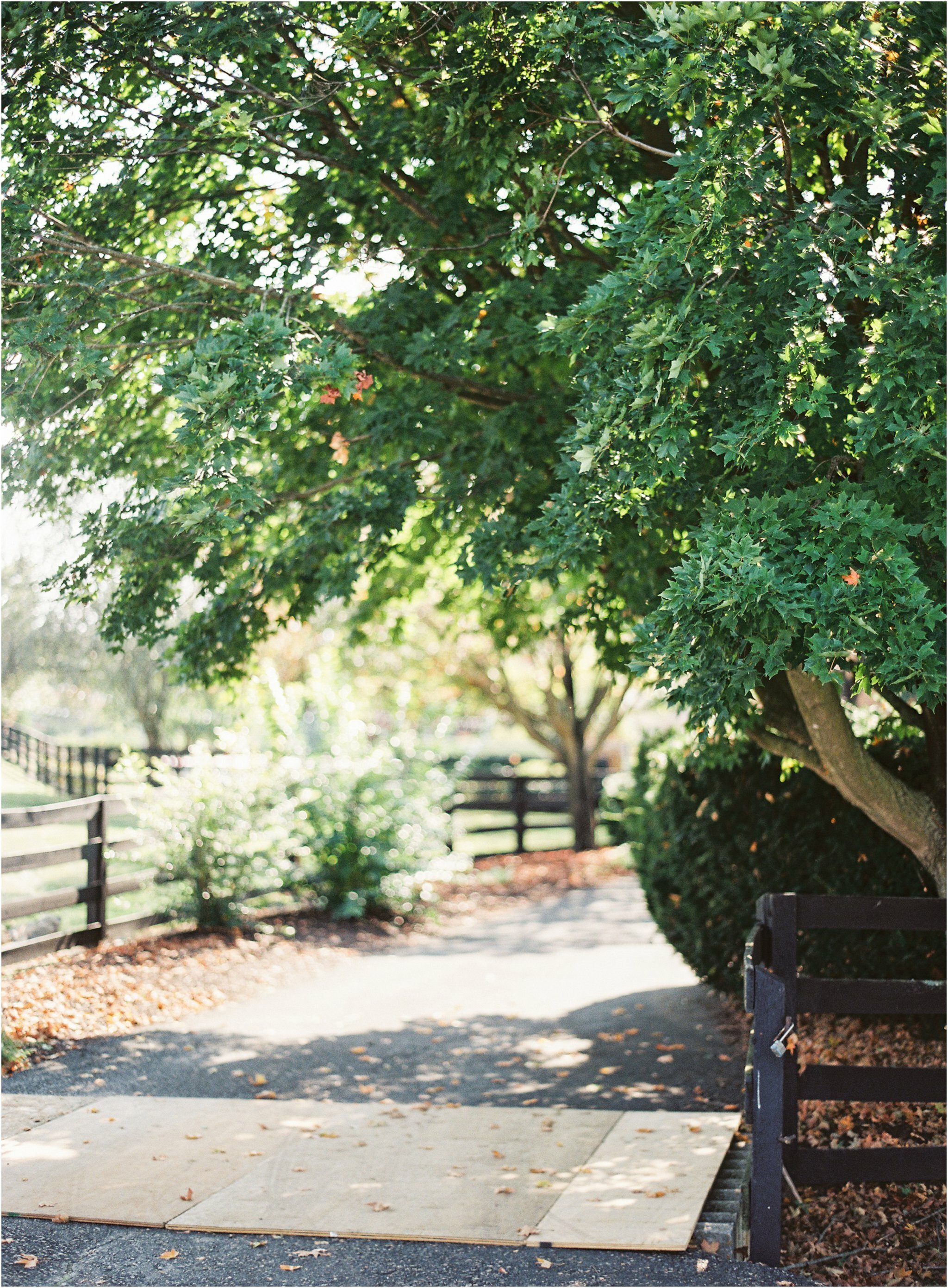 Charlottesville_wedding_photographers_Michael_and_Carina_Photography_6018.jpg Charlottesville_wedding_photographers_Michael_and_Carina_Photography_6018.jpg