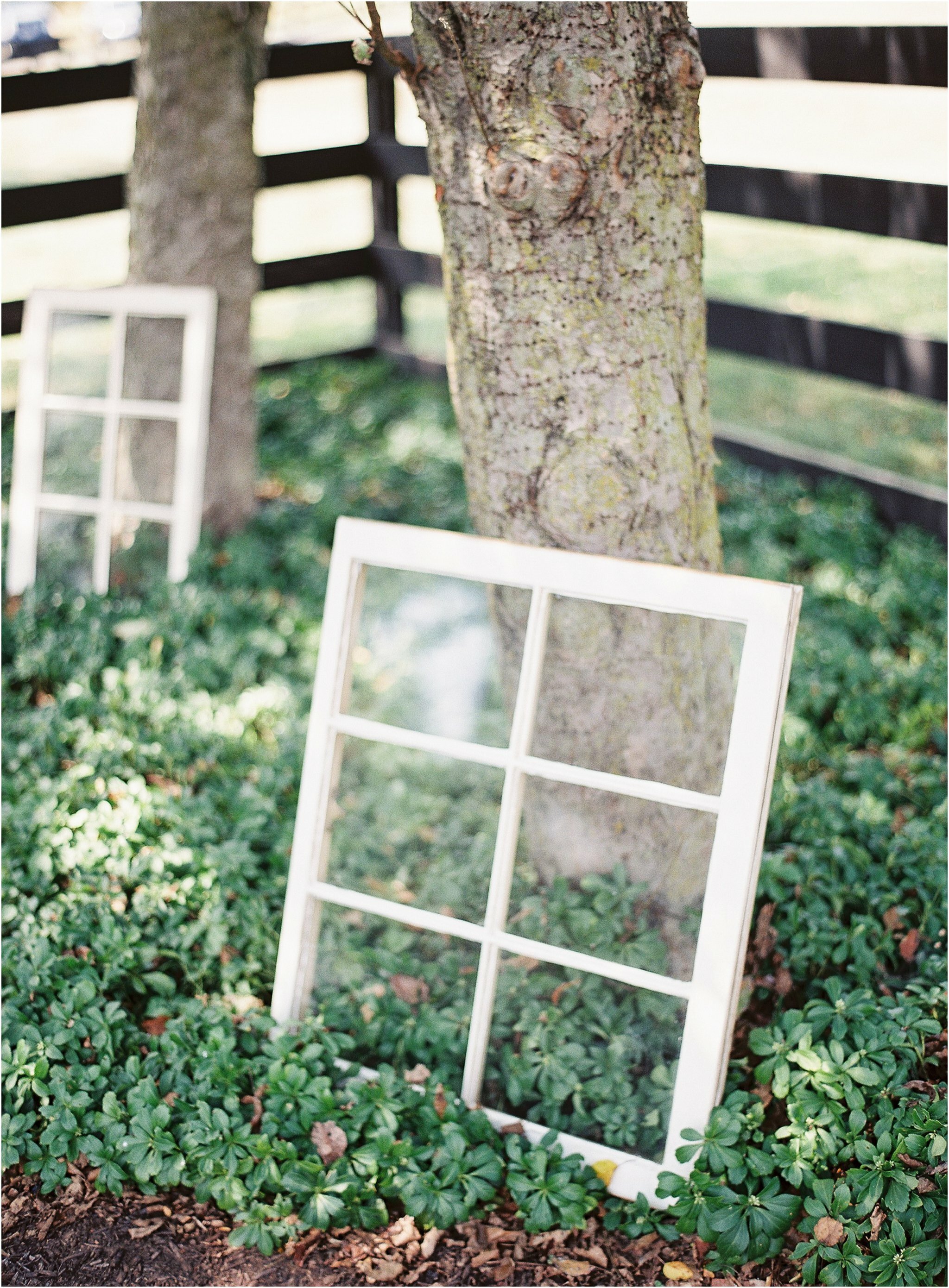 Charlottesville_wedding_photographers_Michael_and_Carina_Photography_6053.jpg Charlottesville_wedding_photographers_Michael_and_Carina_Photography_6053.jpg