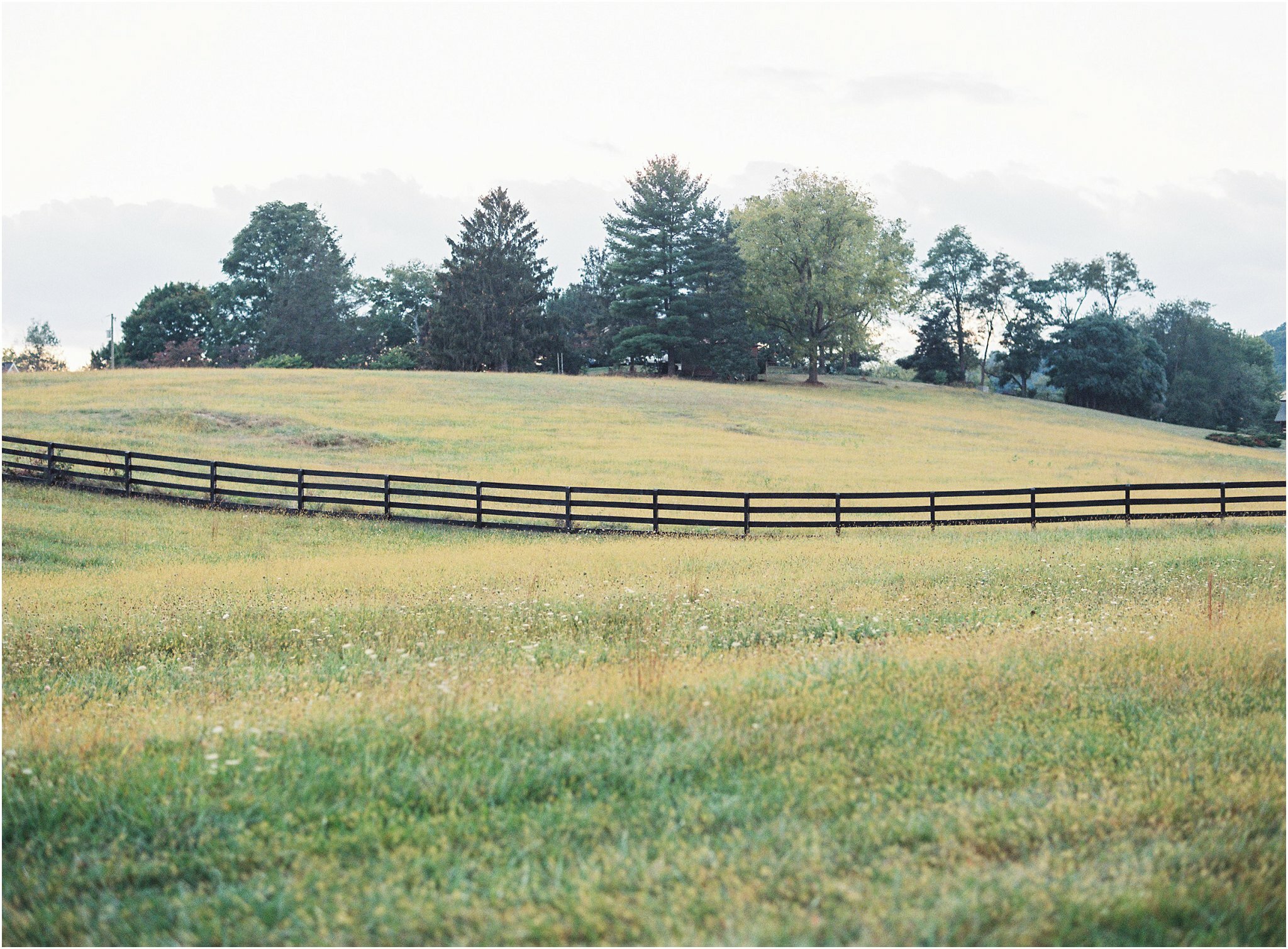 Charlottesville_wedding_photographers_Michael_and_Carina_Photography_6068.jpg Charlottesville_wedding_photographers_Michael_and_Carina_Photography_6068.jpg