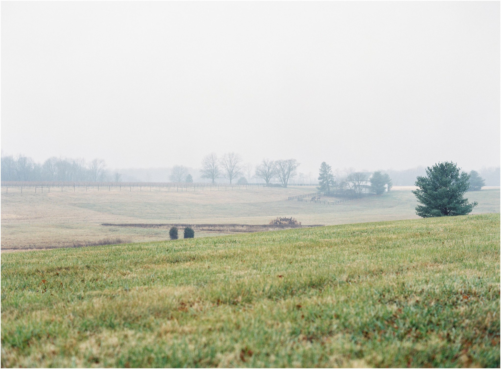 virginia_fine_art_film_photographers_0047.jpg virginia_fine_art_film_photographers_0047.jpg