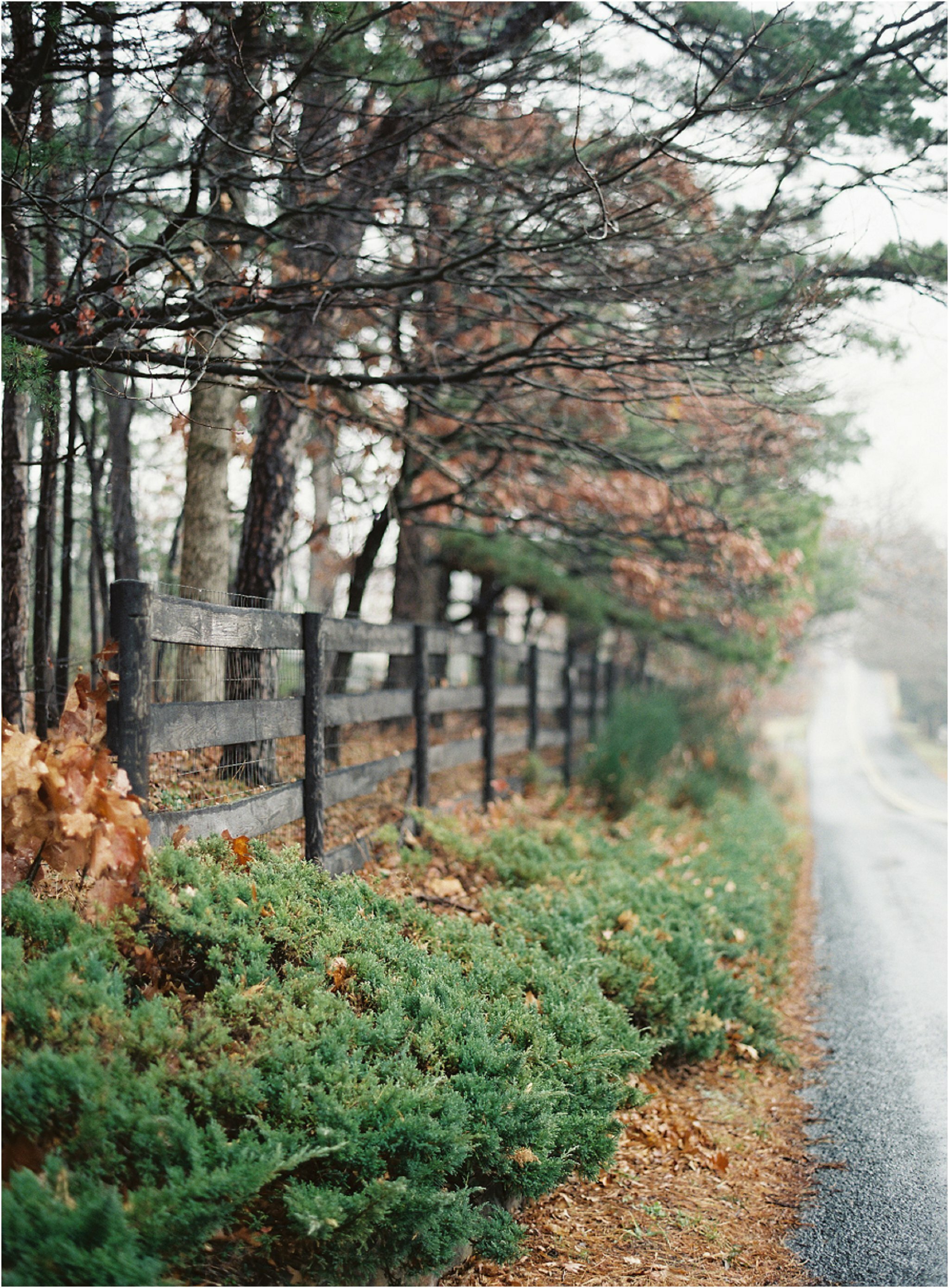 virginia_fine_art_film_photographers_0050.jpg virginia_fine_art_film_photographers_0050.jpg