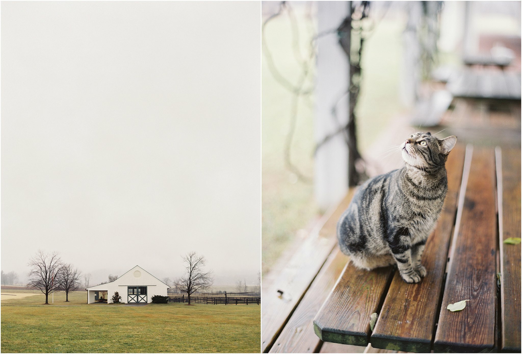 virginia_fine_art_film_photographers_0066.jpg virginia_fine_art_film_photographers_0066.jpg