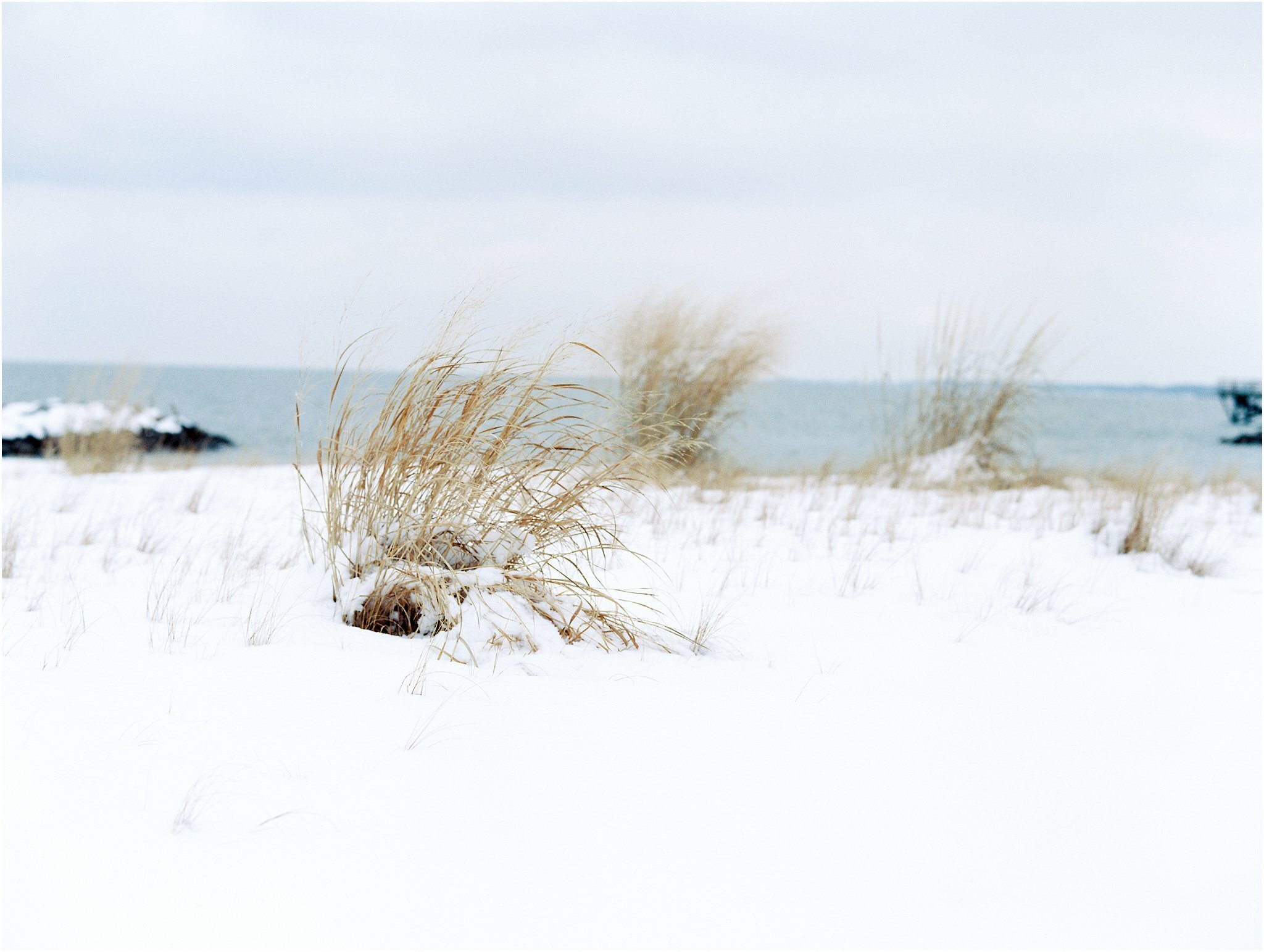 Michael and Carina Photography_0490.jpg