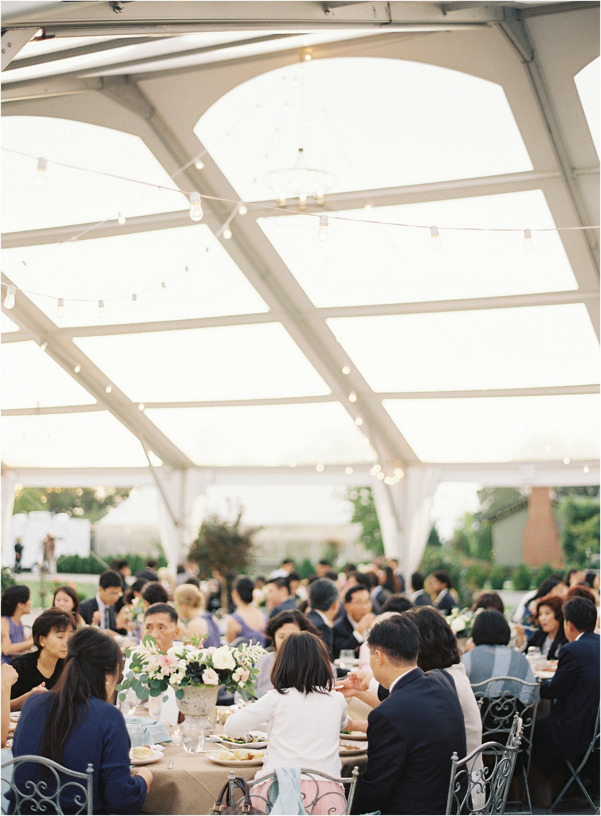 Michael and Carina Photography - Virginia Wedding Photographer_0088.jpg