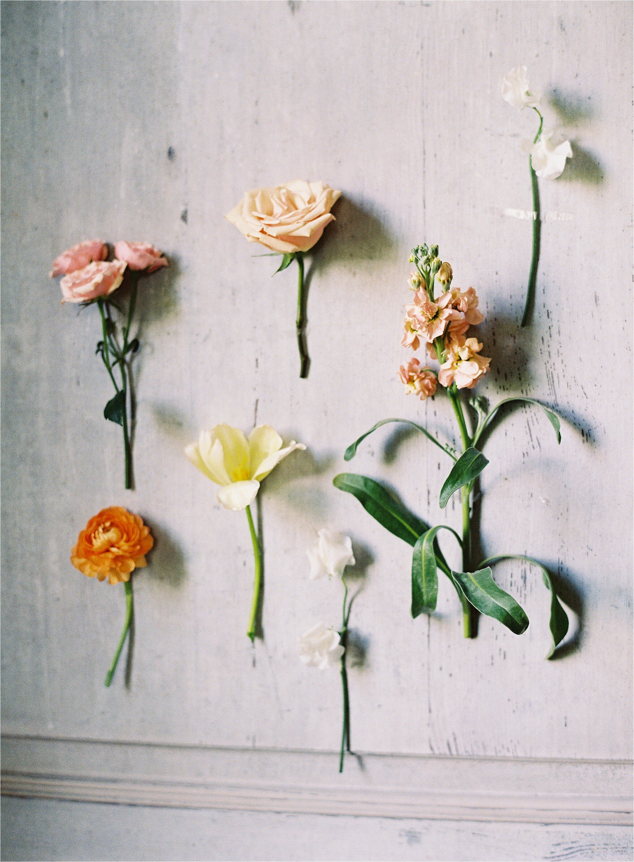 Michael and Carina Photography Boudoir_0237.jpg