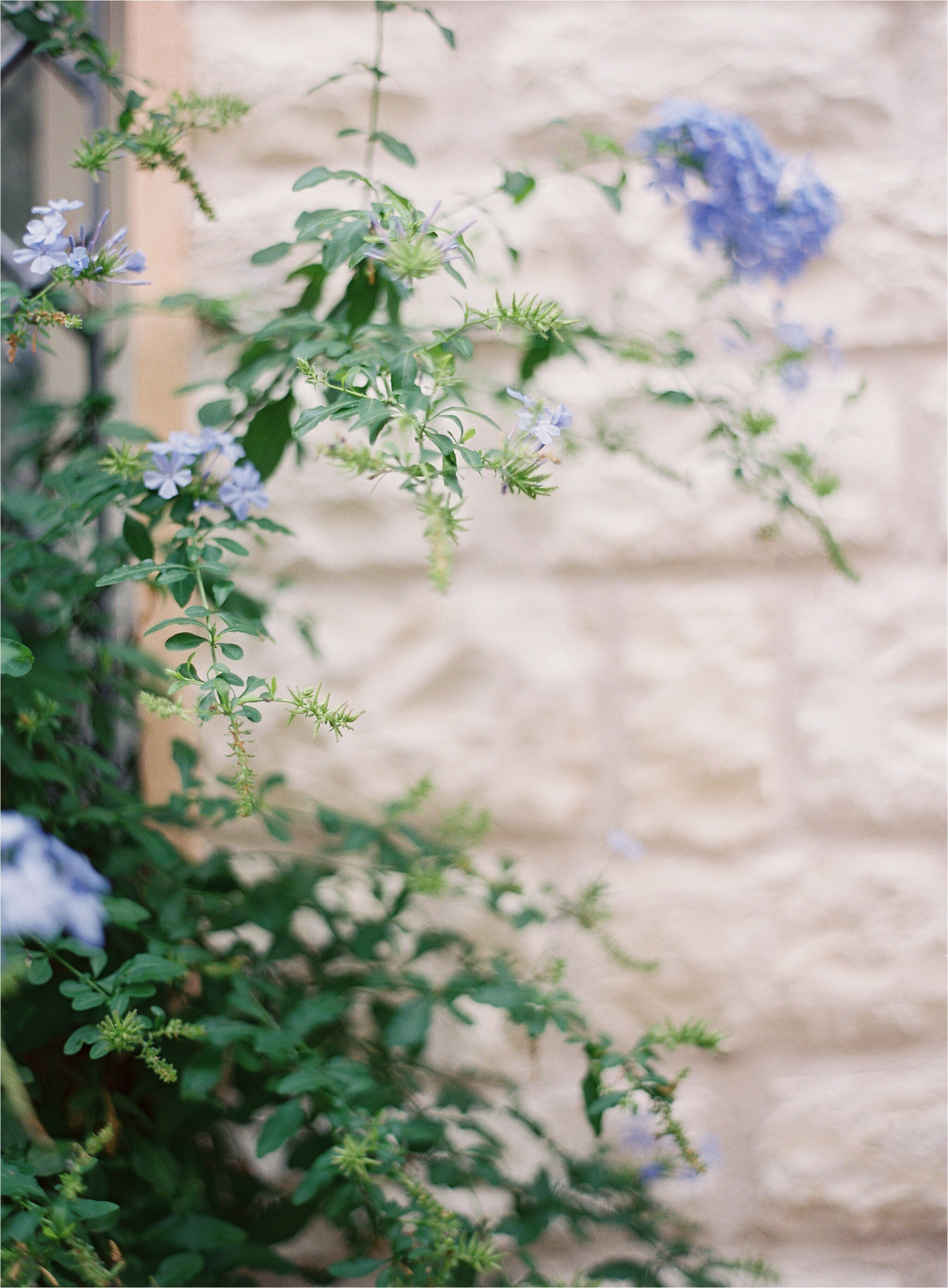 Michael and Carina Workshops_0348.jpg