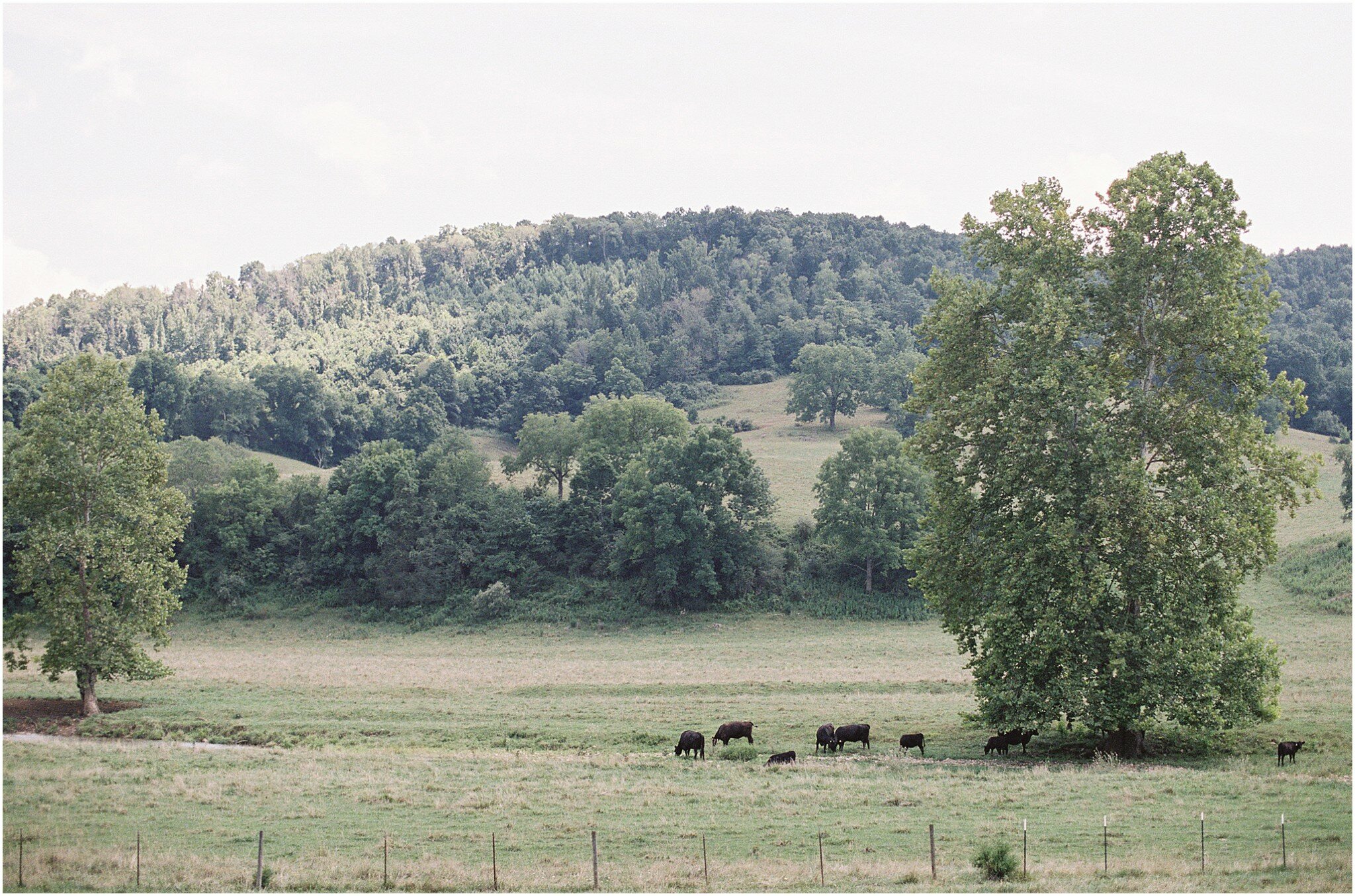 Big Spring Farm wedding_1234.jpg