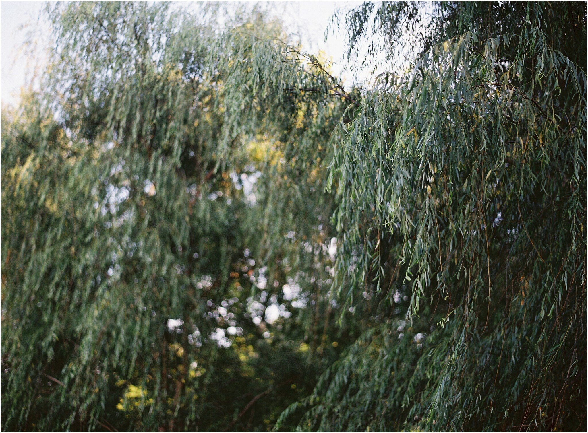 Big Spring Farm wedding_1257.jpg