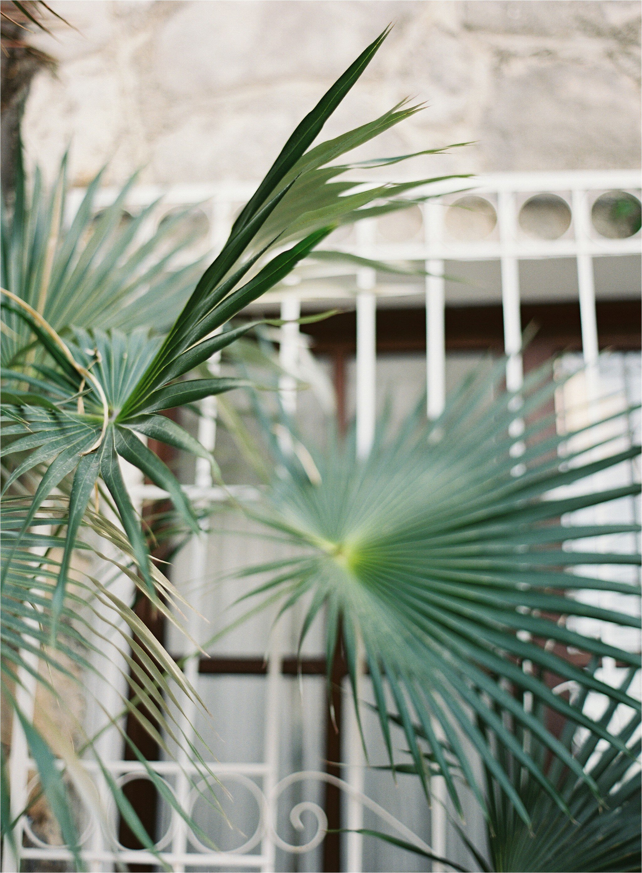 girl serious dream michael carina_1139.jpg