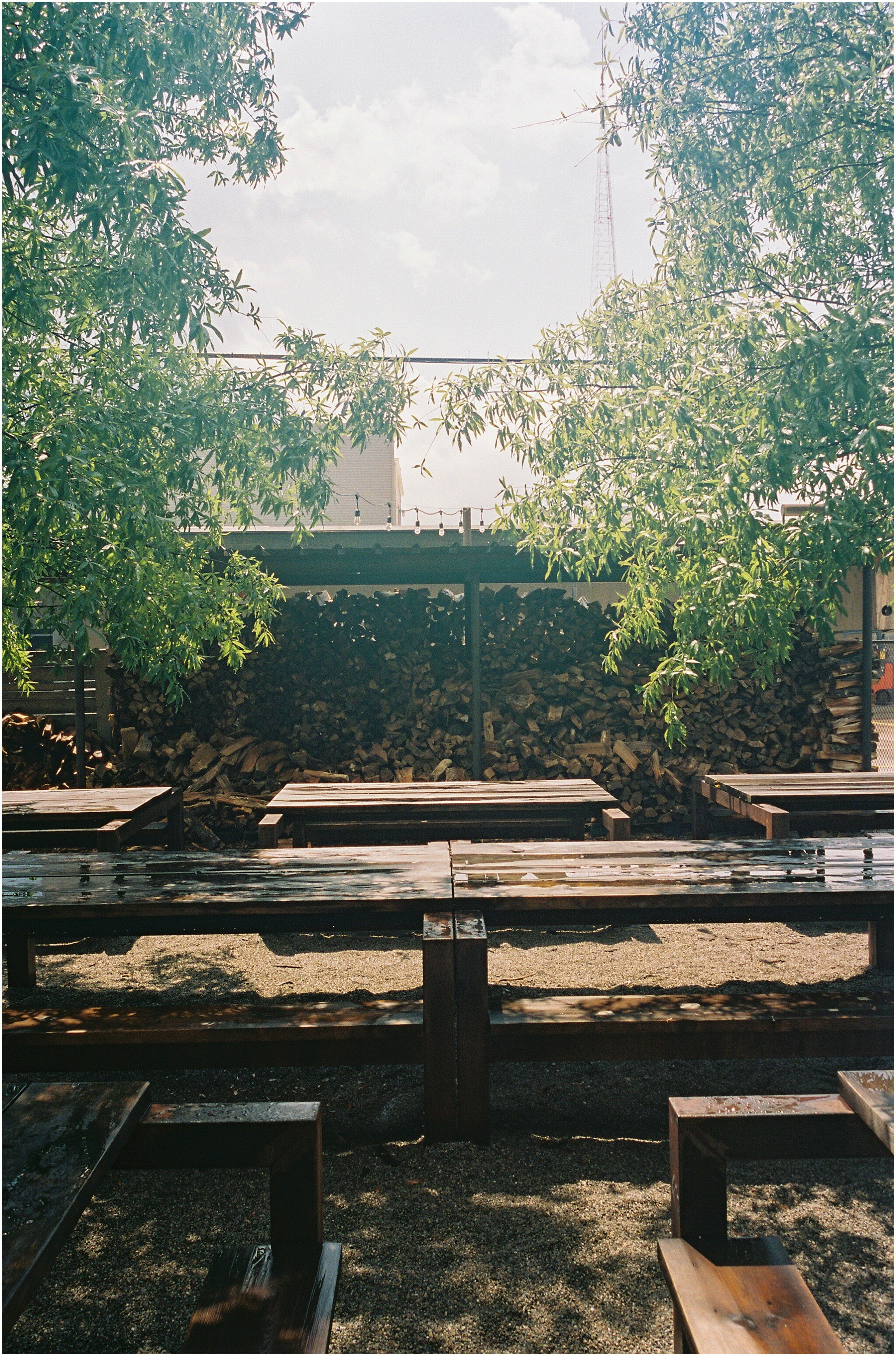 CONTAX G2 and NIKON 35TI_0233.jpg